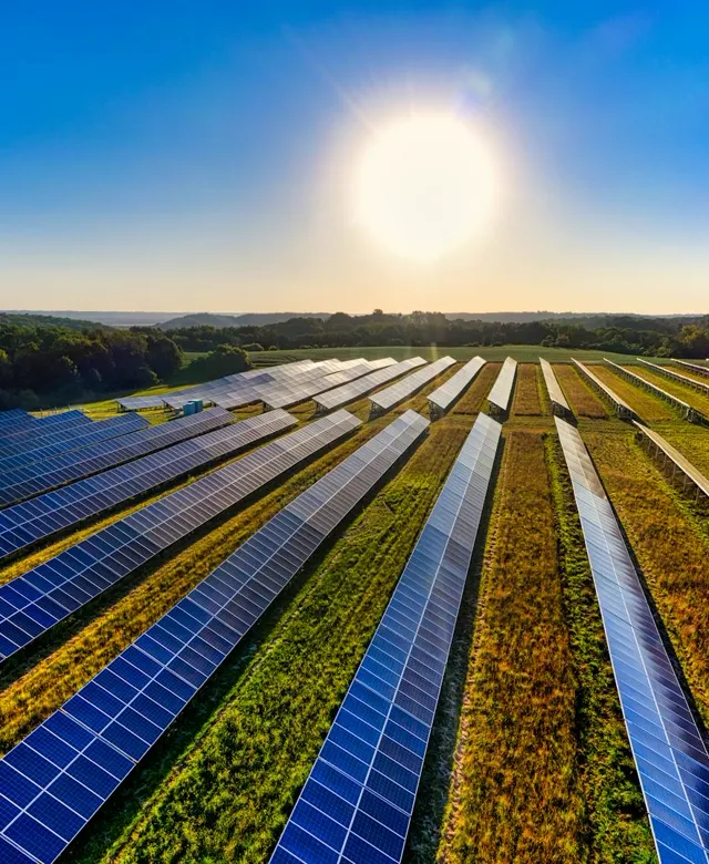 Rows of solar panels glowing at sunrise